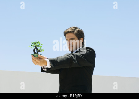 Businessman standing, holding out and looking at small potted bonsai plant Stock Photo