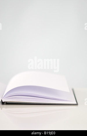 Open book, blanks pages, cropped, close-up Stock Photo