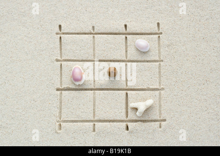 Seashells and coral arranged on grid drawn in sand, close-up Stock Photo