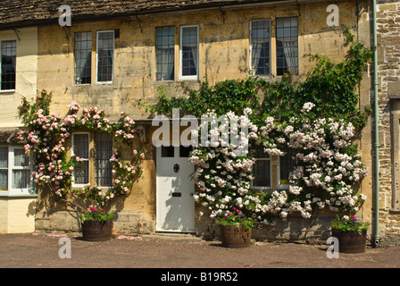 Roses encircle and frame cottage windows in Lacock in June Stock Photo