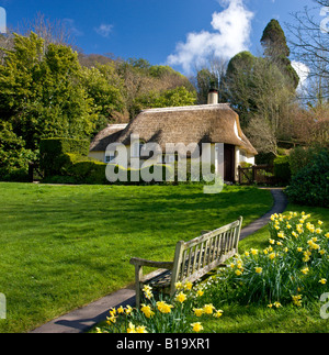 Spring in the picturesque village of Selworthy Exmoor National Park Somerset England Stock Photo
