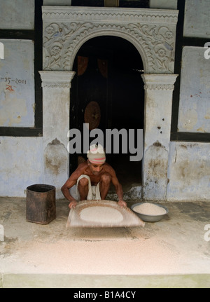 India, Assam, Majuli island, rice cropping Stock Photo - Alamy