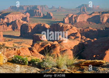 Wildflowers on Hunts Mesa in Monument Valley AZ Stock Photo