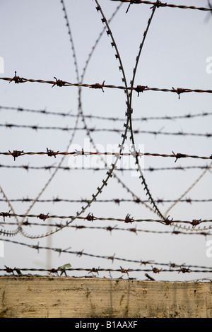 Razor wire is used to discourage traspassers who might think about climbing into a naval compound in Kochi, Kerala, India. Barbe Stock Photo