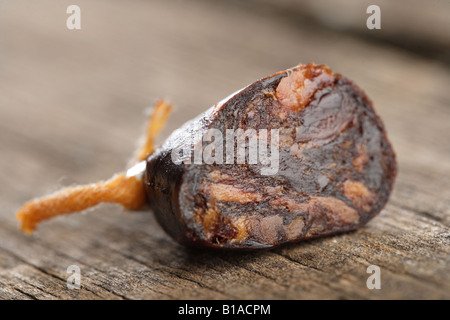 Sliced morcilla serrana (Iberian pork blood sausage) Stock Photo