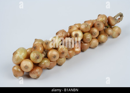 String of French small onions Stock Photo