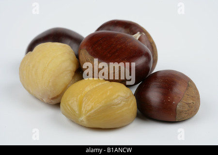 Blanched chestnuts on white background Stock Photo - Alamy