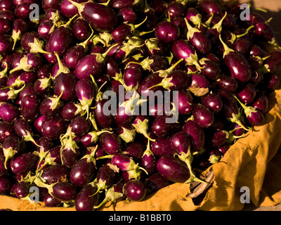 Eggplants, Jaipur, India Stock Photo