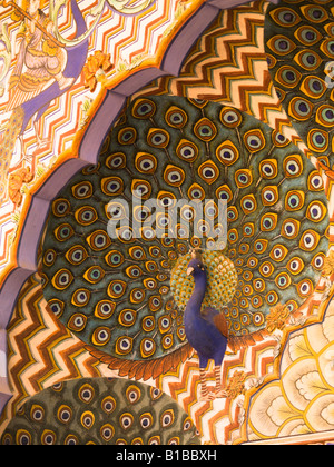 Peacock design Stock Photo