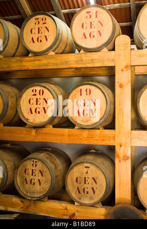 dh  PORTO DA CRUZ MADEIRA Rum distillery rack of traditional wooden barrels warehouse history interior historic Stock Photo