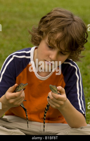Boy Holding Young American Alligators (Alligator mississippiensis) Louisiana USA Stock Photo