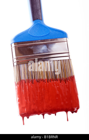 Paint brush dipped in red paint Stock Photo
