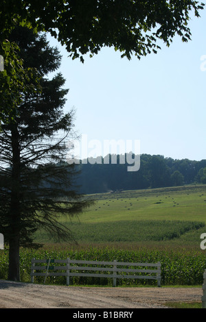 Amish Farm Land Central Ohio Amish farmer small size in mid picture Stock Photo