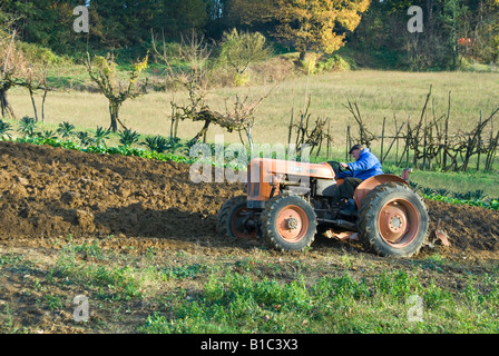 Farmer ploughing his fields on an old tractor in the Mugello Province of Florence, Tuscany, Italy Stock Photo