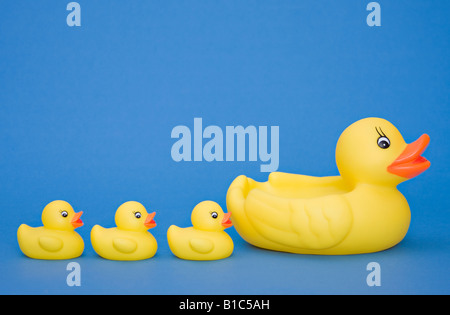 A cute little family of yellow rubber ducks against a plain blue background Stock Photo