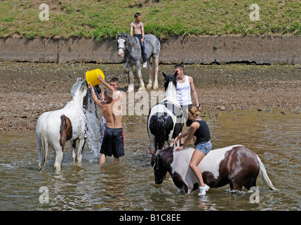 Gypsy travellers washing horses in River Eden. Appleby Horse Fair. Appleby-in-Westmorland, Cumbria, England, United Kingdom.