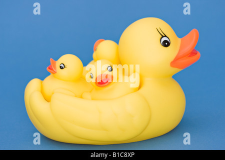 A cute little family of yellow rubber ducks against a plain blue background Stock Photo