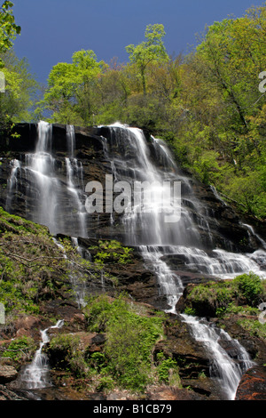 Amicalola falls state park Stock Photo - Alamy