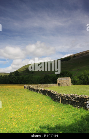 Sunlit Drysone Wall and Barn Surrounded by Flowering Hay Meadows Swaledale Yorkshire Stock Photo