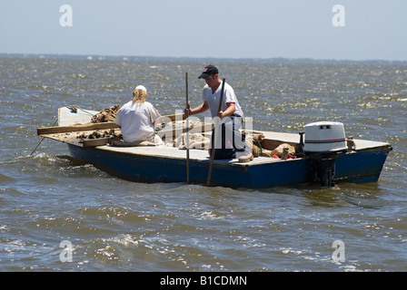 oyster tongers working in Apalachicola Bay along North Florida panhandle coast Stock Photo