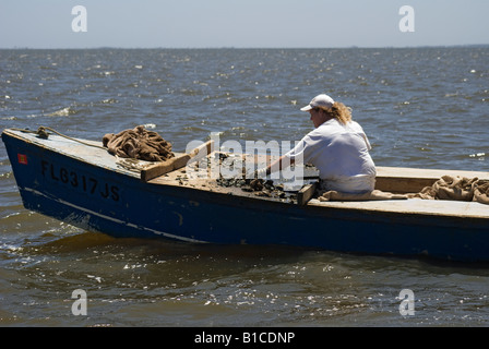 woman sorts oysters on a working tongers boat in Apalachicola Bay along North Florida panhandle Stock Photo