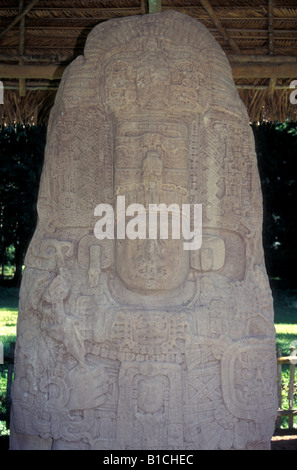 Stela K with likeness of Jade Sky at the Mayan ruins of Quirigua, Guatemala Stock Photo