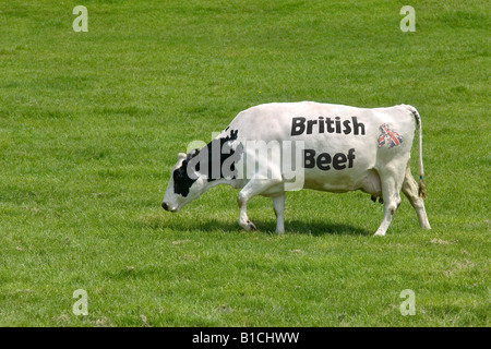 Concept image of a cow with the words British Beef as its markings and a union jack map of the UK Stock Photo