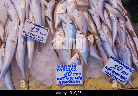 Fish for sale on market stall in Heraklion capital and largest city on the Greek Mediterranean island of Crete Stock Photo