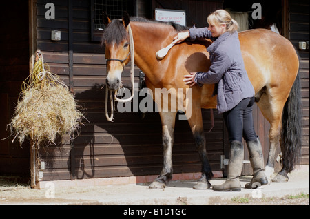 Woman grooming her horse while the animal feeds on hay outside the stable Stock Photo