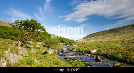 Summer beside the West Okement River Dartmoor National Park Devon England Stock Photo