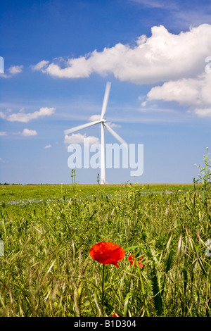 Single wind turbine against a summer sky with red poppy in the foreground, Oxfordshire, England, UK Stock Photo