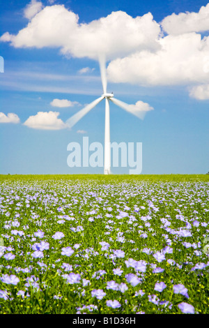 Single wind turbine against a summer sky with windblown field of blue flax or linseed in the foreground, Oxfordshire, England UK Stock Photo