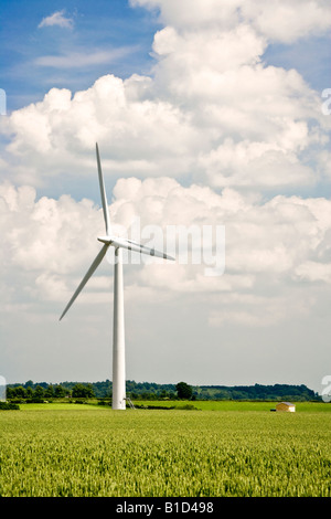 Single wind turbine in a field of wheat on an inshore wind farm in Oxfordshire, England, UK Stock Photo