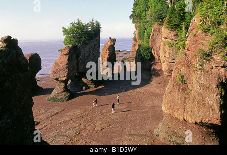 Visitors enjoy exploring the stone mushrooms at Hopewell Rocks on the Bay of Fundy just north of Fundy National Park in New Brunswick, eastern Canada. Stock Photo