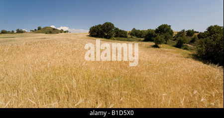 View of The Achilleon, tomb of Achilles at Troy, site of the Trojan War, Turkey Stock Photo