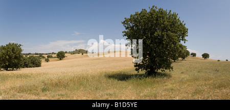 View of The Achilleon, tomb of Achilles at Troy, site of the Trojan War, Turkey Stock Photo