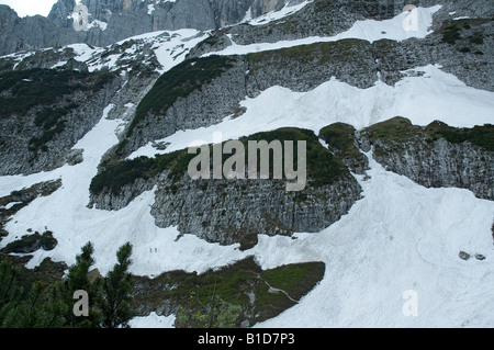 the snowfield at the base of north face of the 'Jof di Montasio' mount Stock Photo