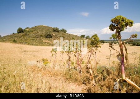 View of The Achilleon, tomb of Achilles at Troy, site of the Trojan War, Turkey Stock Photo