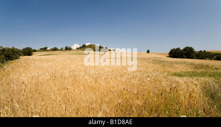 View of The Achilleon, tomb of Achilles at Troy, site of the Trojan War, Turkey Stock Photo