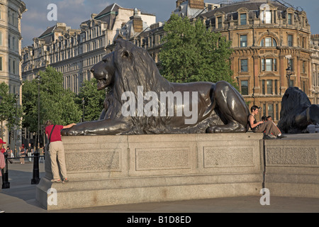 Lion statue, Trafalgar Square, London Stock Photo