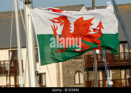 Welsh flag flying from a yacht s mast in Aberystwyth harbour Stock Photo