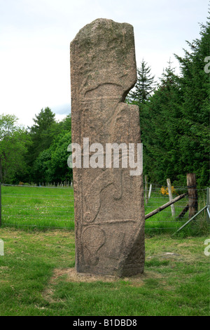 Maiden Stone, Pictish Monument near Inverurie, Aberdeenshire, UK. Stock Photo