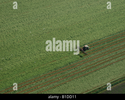 Tractor in field overturning mowed grass that will become hay Noord Brabant the Netherlands aerial view Stock Photo