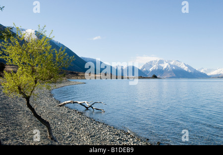 Rocks on the shores of Lake Ohau South Island New Zealand Stock Photo ...