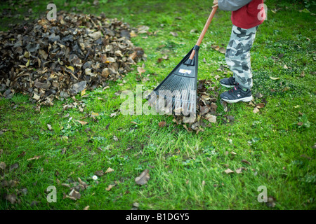 Boy aged six rakes up leaves in garden Stock Photo