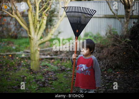 Boy aged six rakes up leaves in garden Stock Photo