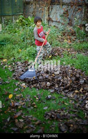 Boy aged six rakes up leaves in garden Stock Photo