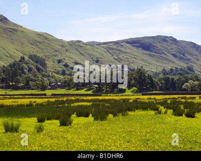 Summer evening at Patterdale near Ullswater in the English Lake District Stock Photo