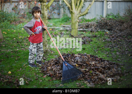 Boy aged six rakes up leaves in garden Stock Photo