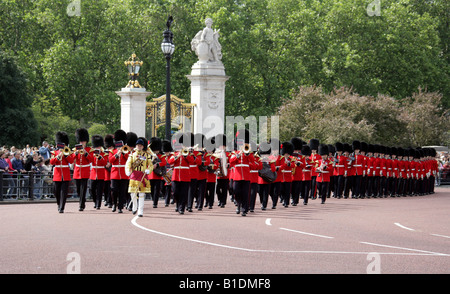 Coldstream Guards and Massed Band, Buckingham Palace, London, Trooping the Colour Ceremony June 14th 2008 Stock Photo